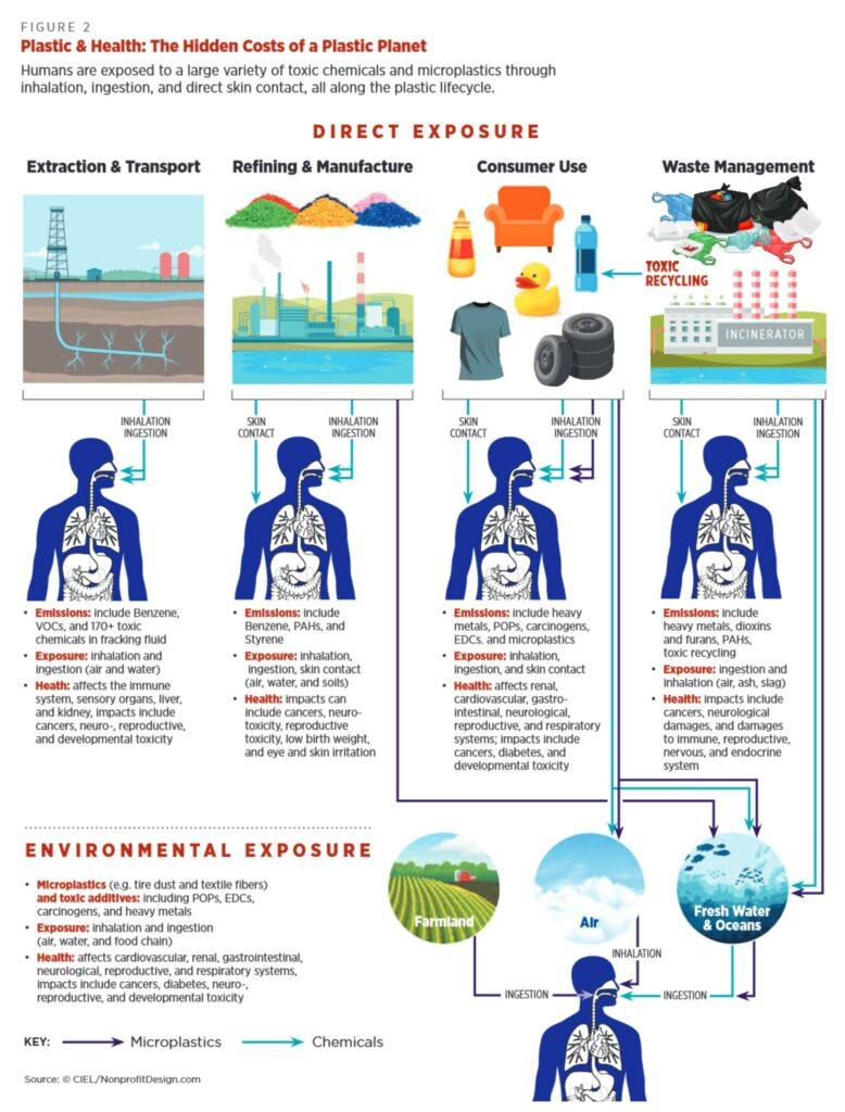 The Science Behind‍ Plastics and ⁢Testosterone Levels