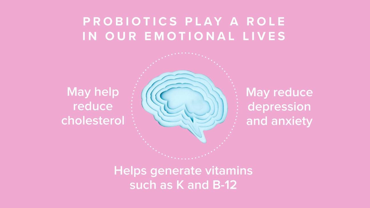 Probiotics and Prebiotics: Allies in Balancing Mental Health