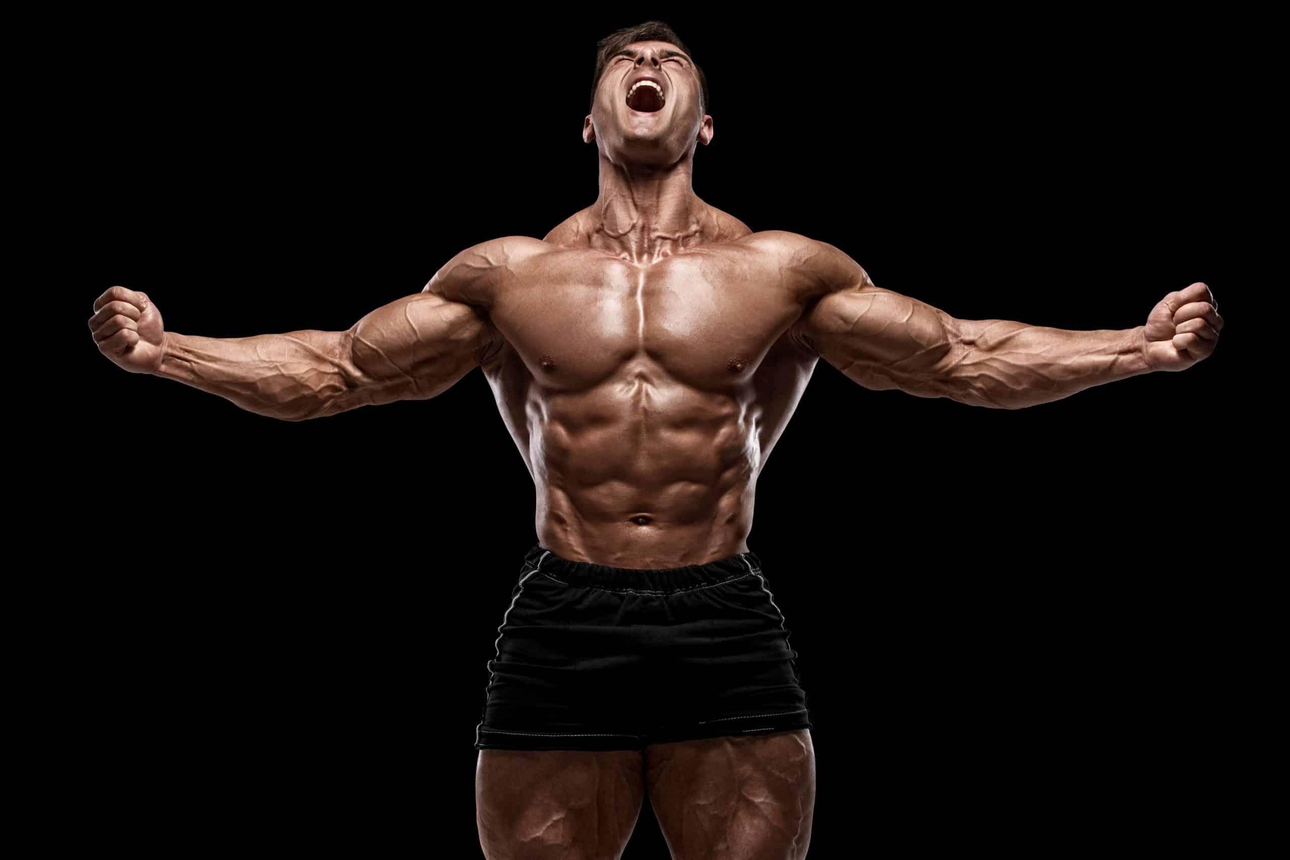 Exercise Strategies to Maximize Testosterone-Induced Muscle Gains