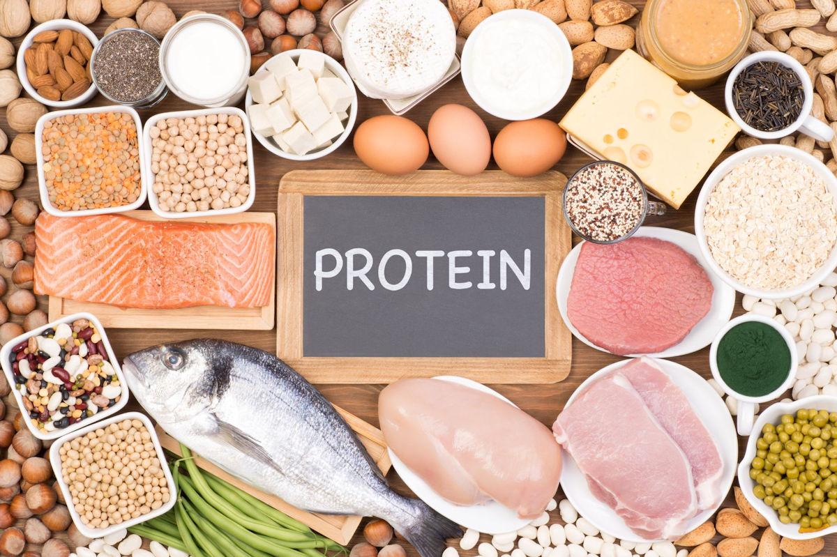 Harnessing the Power of Lean Proteins